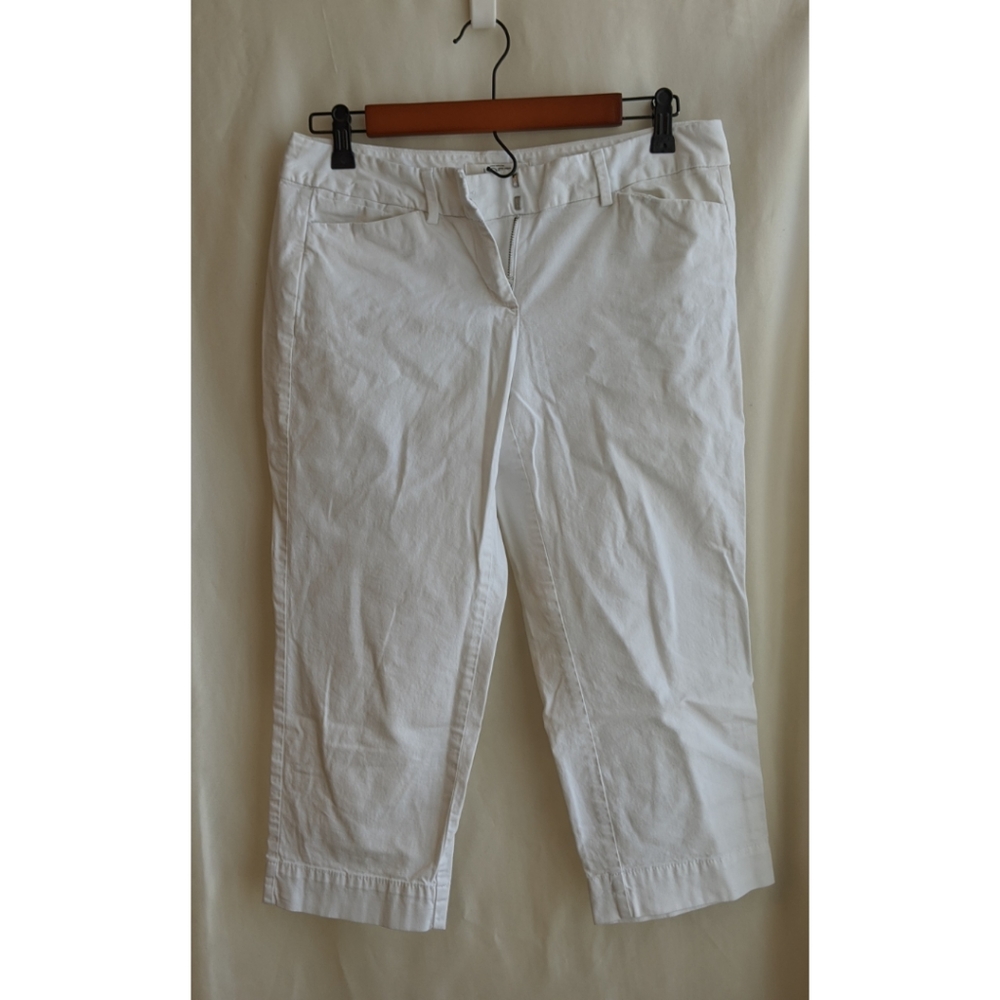 Ann Taylor Business Casual Capris